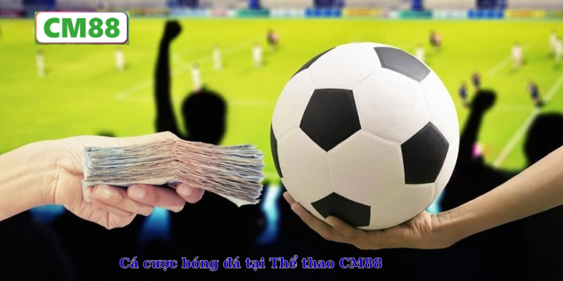 Cá cược bóng đá tại Thể thao CM88